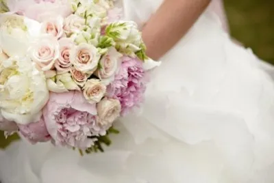 פאזל של delicado