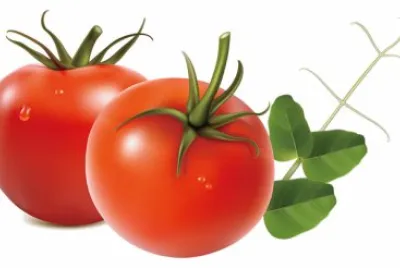 פאזל של Sabores