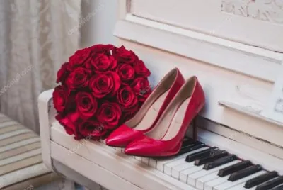 פאזל של sapato