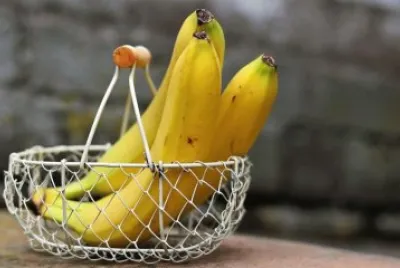 Fruits