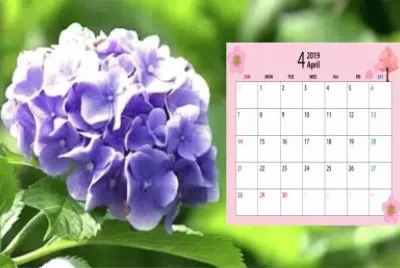 2019.04