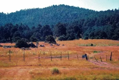 Sierra Tarahumara, Chihuahua.