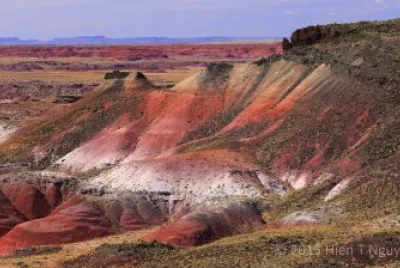 Petrified Forest - New Mexico