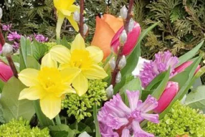 Pretty Spring Flower Mix