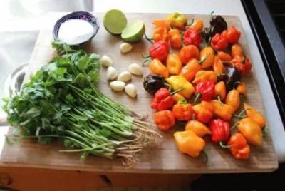 Vegetable jigsaw puzzle