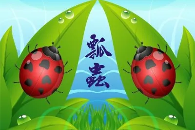 æ˜†èŸ²å°ç¨±çŸ¢é‡åœ–