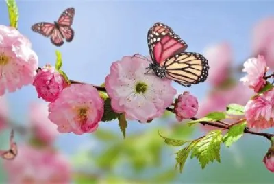 natural jigsaw puzzle
