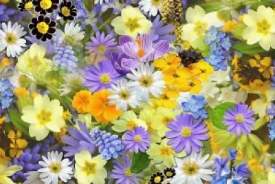 flores jigsaw puzzle