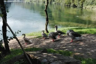 BERGAMO NICE PLACES