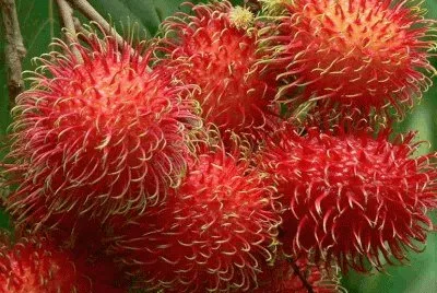 Imagem jigsaw puzzle