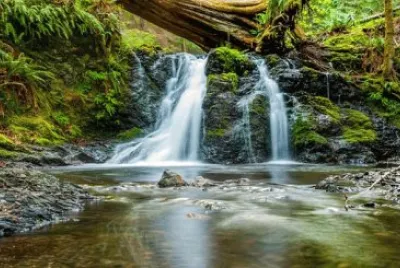 Imagem jigsaw puzzle