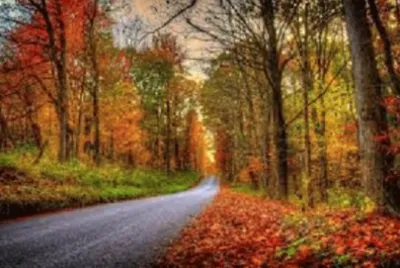 Imagem jigsaw puzzle