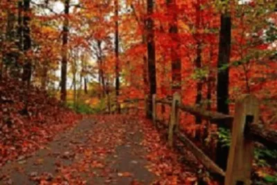 Imagem jigsaw puzzle
