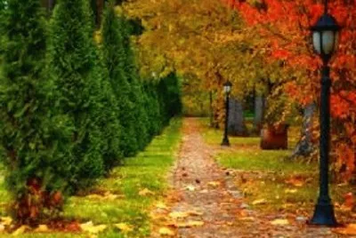 Imagem jigsaw puzzle