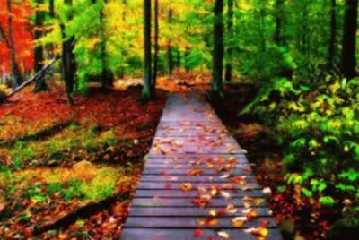 Imagem jigsaw puzzle