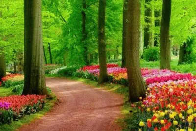 Imagem jigsaw puzzle