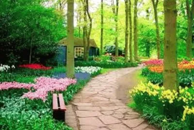 Imagem jigsaw puzzle