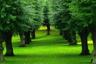 Imagem jigsaw puzzle