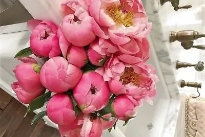 flores