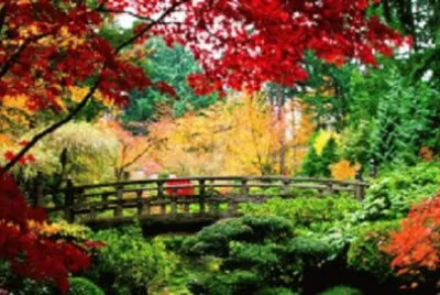 Imagem jigsaw puzzle