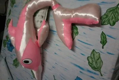 BOTO ROSA