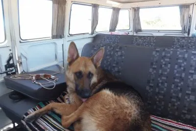 ChicÃ£o na kombi
