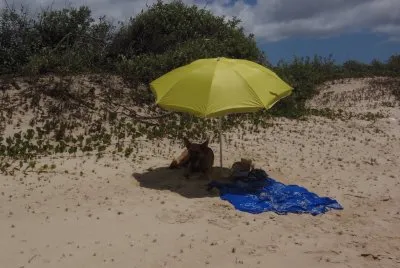 Beach