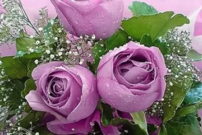 flores