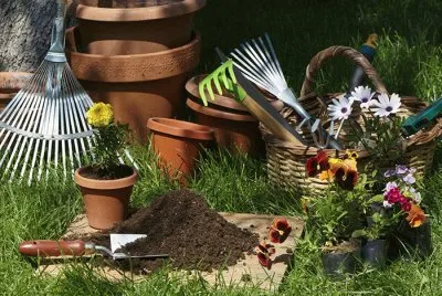Lawn and Garden Tools-Still Life