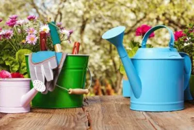 Colorful Garden Pots and Watering Cans
