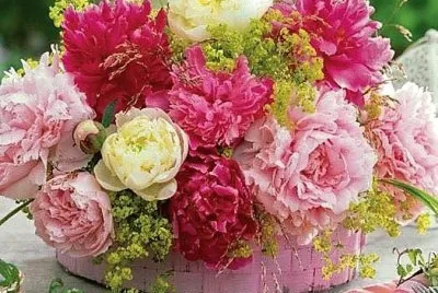 flores