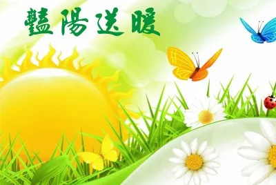 ç¾Žè±”