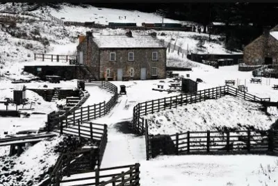 winter #205 jigsaw puzzle