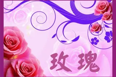 çŽ«ç‘°èŠ±åœ–