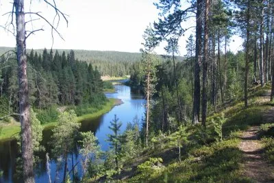 riviÃ¨re et forÃªt Finlande