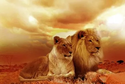 Imagem jigsaw puzzle