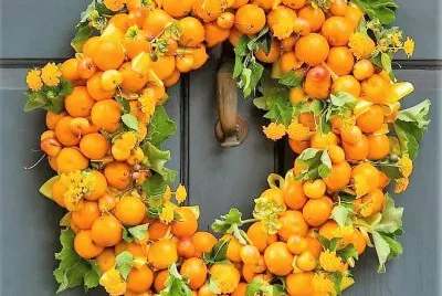 frutas
