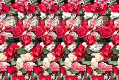 Imagem jigsaw puzzle