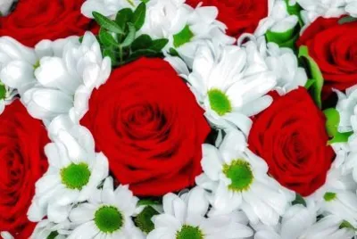 Imagem jigsaw puzzle