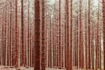 Imagem jigsaw puzzle