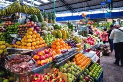 Frutas