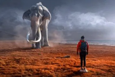 Imagem jigsaw puzzle