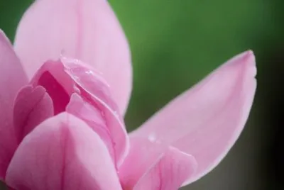 Imagem jigsaw puzzle