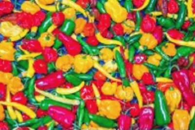 Imagem jigsaw puzzle