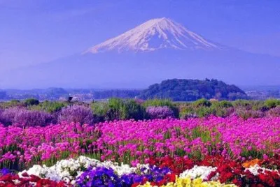 Colorful Nature jigsaw puzzle