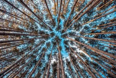 Imagem jigsaw puzzle
