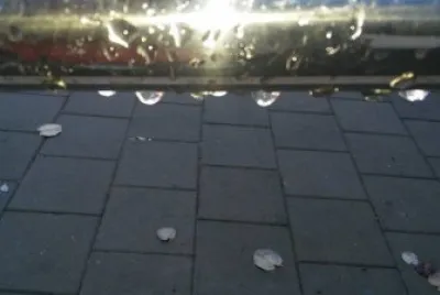 rain drops