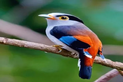 â™¥