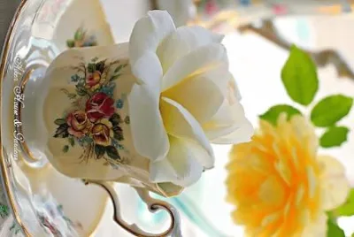 flores