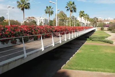 puente de las flores-valencia